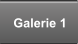 Galerie 1