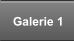 Galerie 1